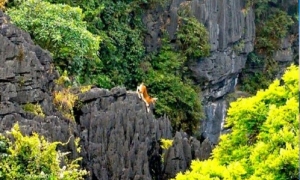 Kingly Package 3 days 2 nights